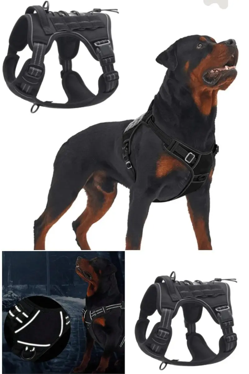 Arnés táctico ajustable K9