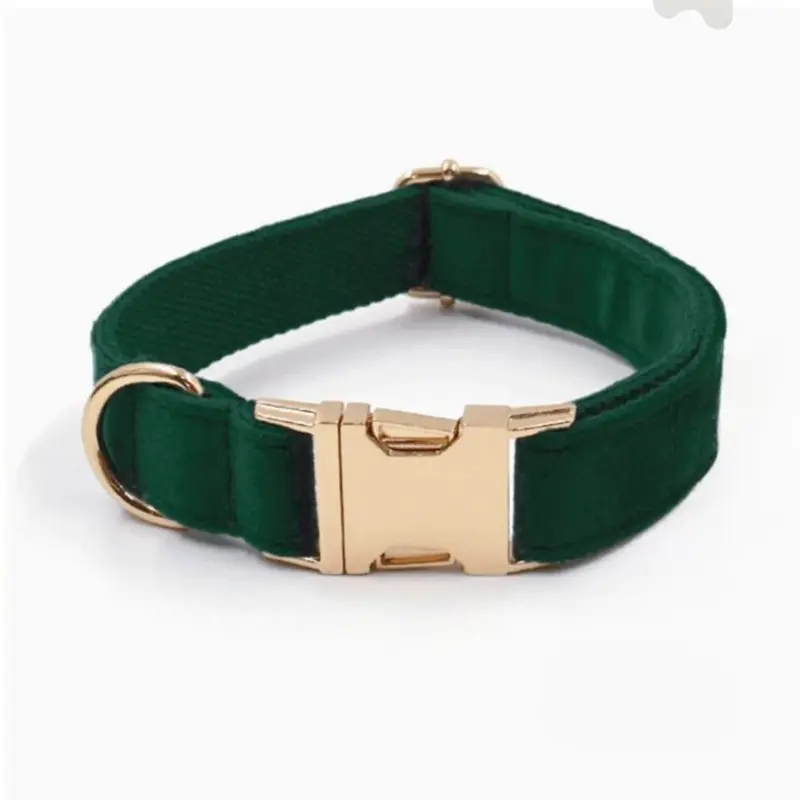 Collar de terciopelo con hebilla dorada - Verde