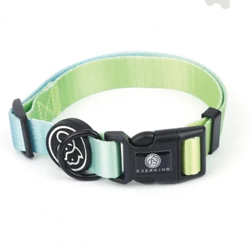 Collar verde menta