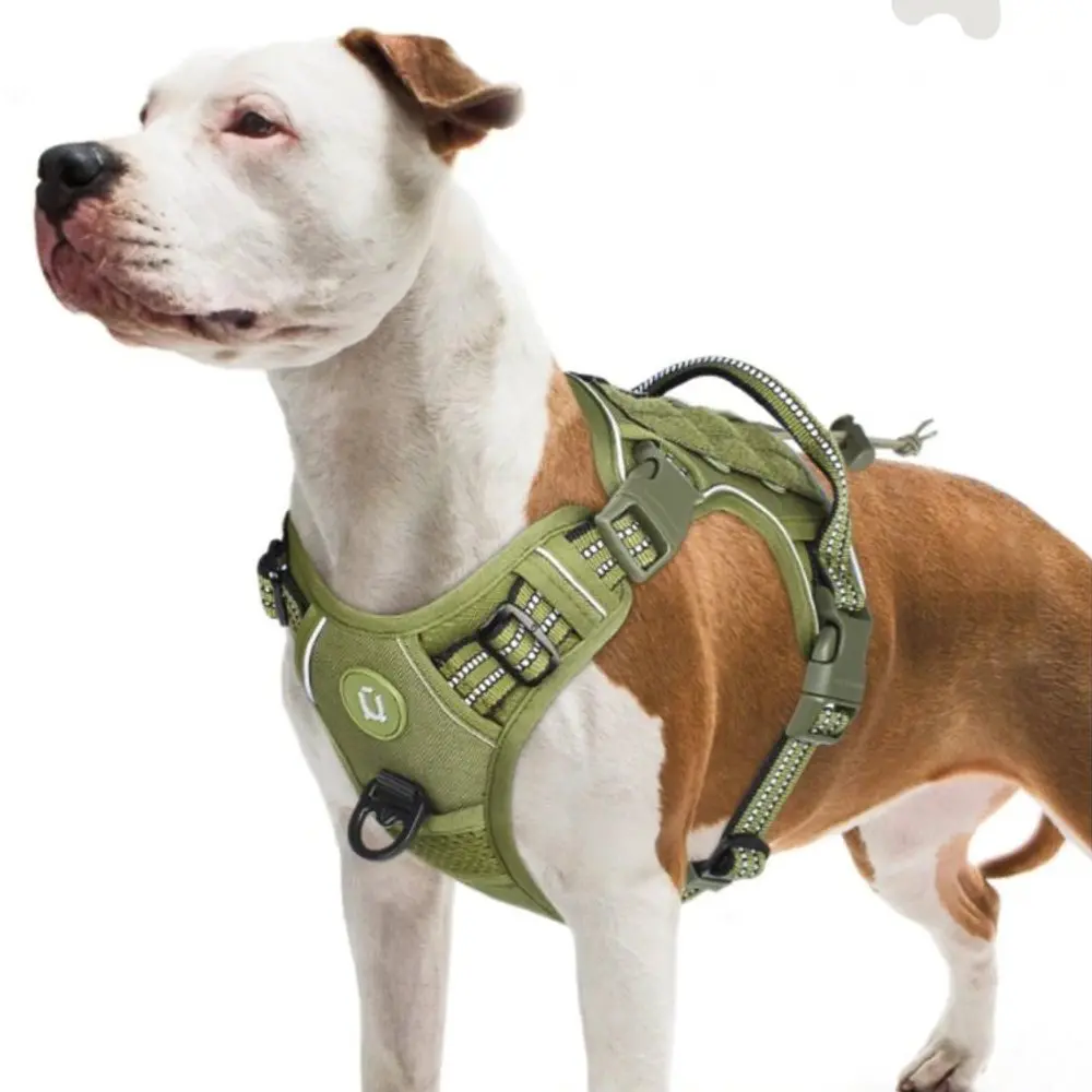 Pechera tipo militar ajustable
