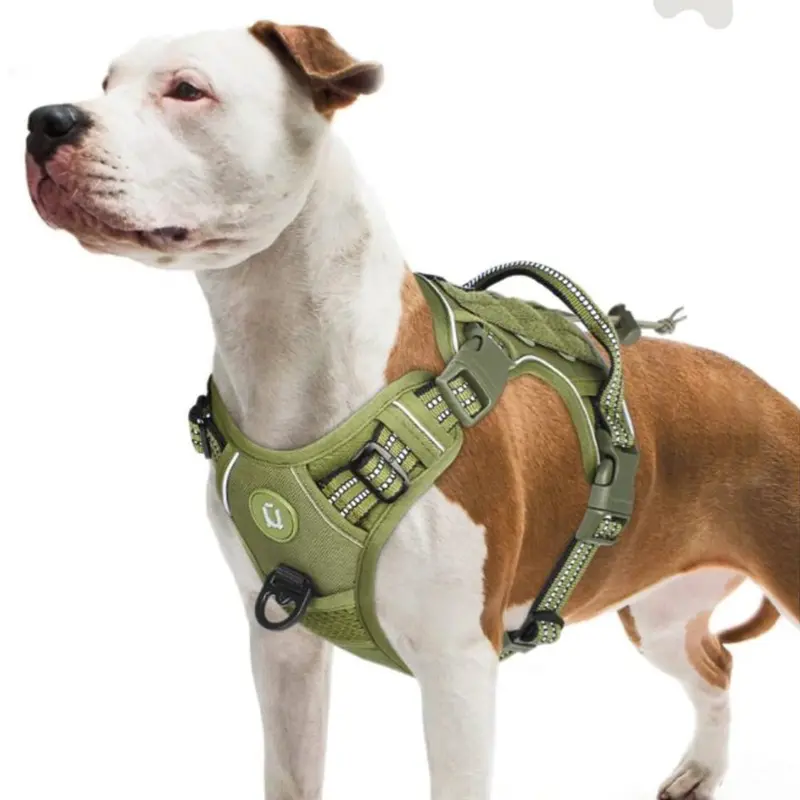 Pechera tipo militar ajustable