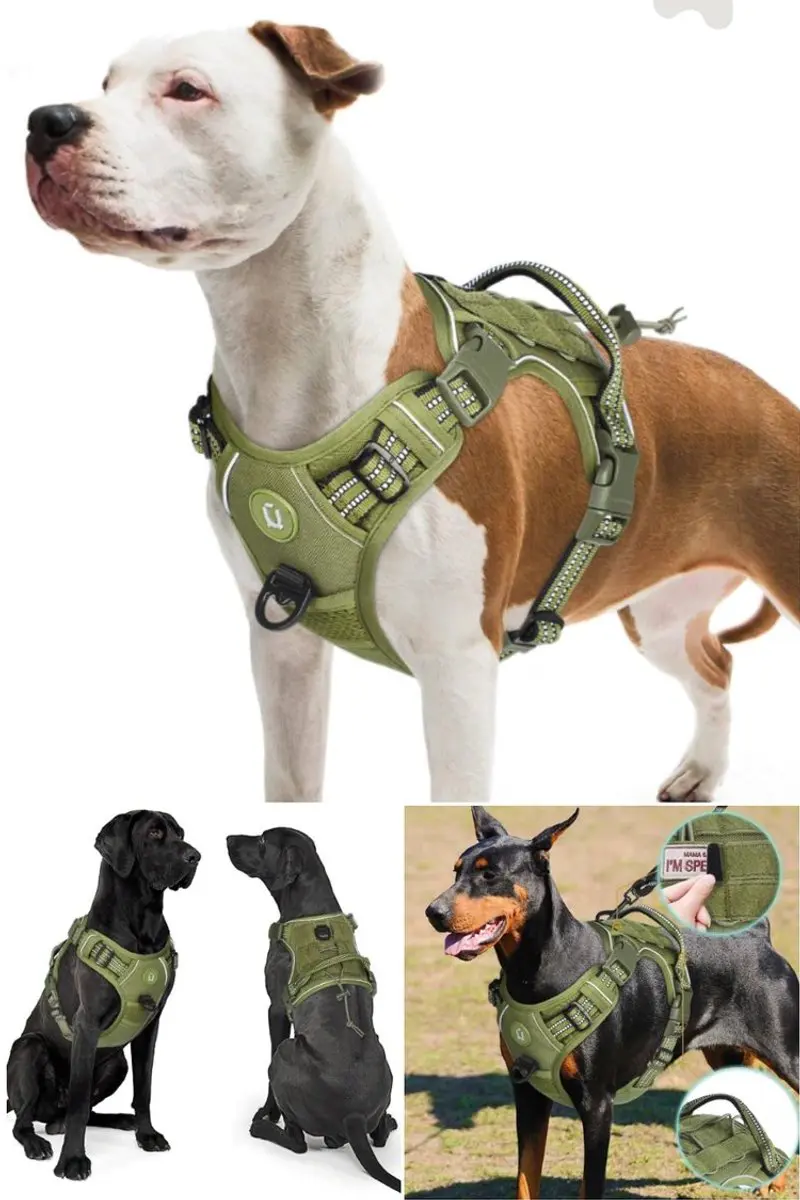 Pechera tipo militar ajustable