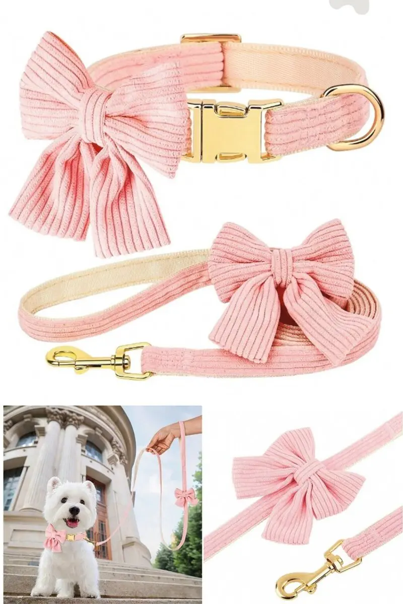 Collar con correa de moño - Rosa