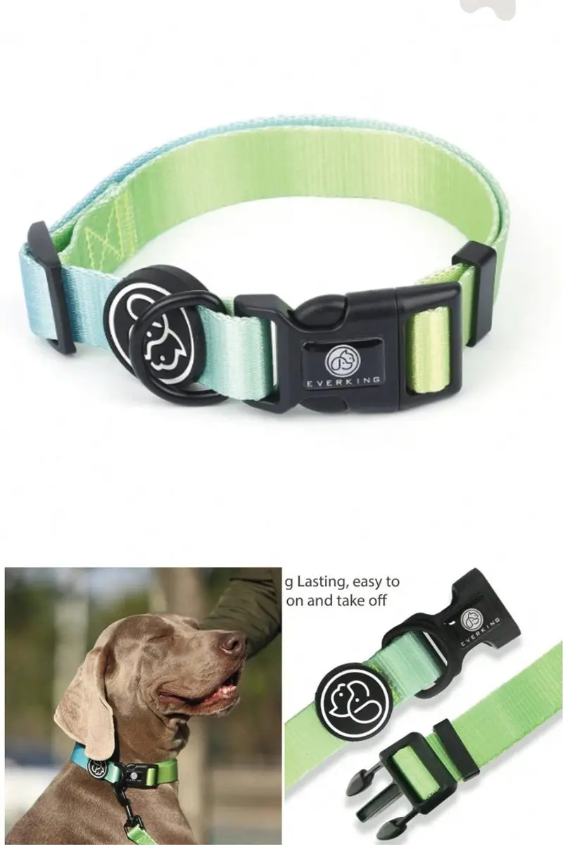 Collar verde menta