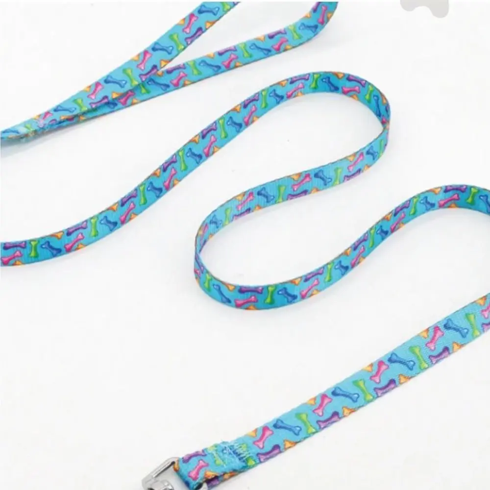 Correa huesos